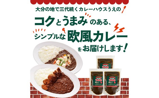 【K03040】九州クラフト うえの焙煎ビーフカレー 冷蔵 3袋