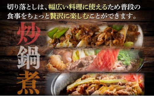 500g【佐賀牛】切り落とし B-1016