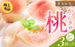 【先行予約】【厳選】あふれる果汁で口いっぱい！ 食べきりサイズ 和歌山県産 桃 3玉 【2027年6月20日頃～順次発送予定】（お届け日指定不可）/ 和歌山 桃 モモ フルーツ もも 白桃 果物 くだもの【kgr002】