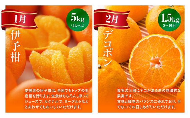 【愛媛県共通返礼品】【定期便】愛媛の柑橘定期便（全6回）（日の丸みかん・紅まどんな・いよかん・デコポン・せとか・河内晩柑） ※2026年11月～2027年4月に毎月1回発送予定 IKTAX018