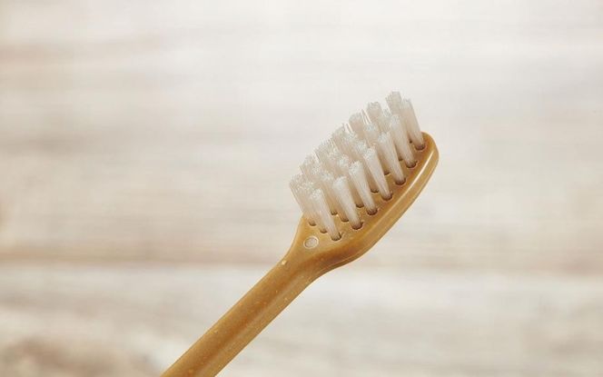 MEGURU 竹の歯ブラシ ひまし樹脂毛 4本セット fain0007