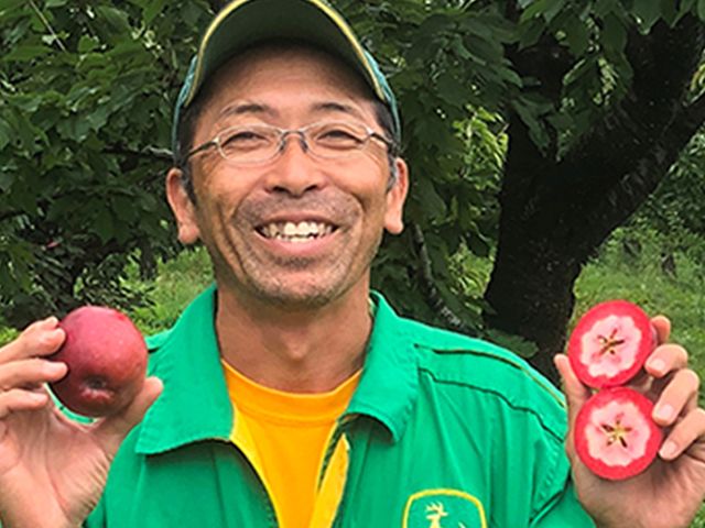 風丸農場 赤いりんごのジュース 無添加 青森県産 180ml×8本セット 飲料類 果汁飲料 千雪 りんごジュース 
