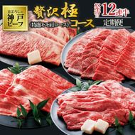 【神戸牛・年間定期便】黒田庄和牛特選モモ・肩ロース贅沢極コース＜冷蔵＞（焼肉・すき焼き・しゃぶしゃぶ・ステーキから選べます！）tokusan-58