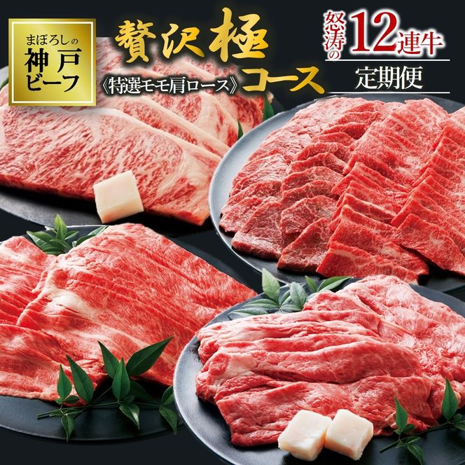 【神戸牛・年間定期便】黒田庄和牛特選モモ・肩ロース贅沢極コース＜冷蔵＞（焼肉・すき焼き・しゃぶしゃぶ・ステーキから選べます！）tokusan-58