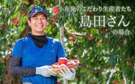 季節の桃 約2kg 約3kg 約5kg 選べる内容量 ［ おぶせファーマーズ ］桃 もも モモ ピーチ フルーツ 果物 たまき なつき あかつき 川中島白鳳 なつっこ 川中島白桃 黄金桃 だて白桃 先行予約 長野県産 信州産 クール便 冷蔵便 お取り寄せ 産地直送 数量限定 産地 直送  先行予約 2026 令和8年産【2026年7月中旬～9月中旬発送】