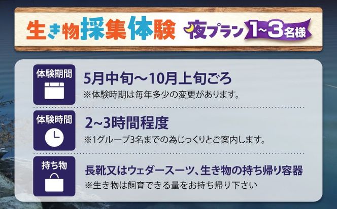 木曽川の生き物採集体験 (夜プラン) 1〜3名まで 体験 チケット 採集 愛西市 / 艶麗[AEDD008]