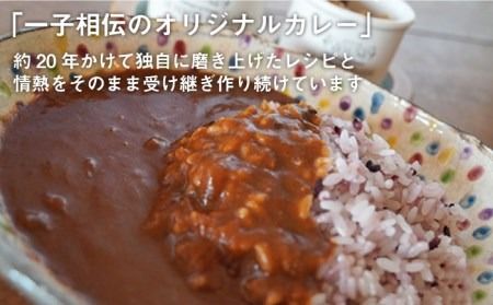 糸島牛 の 旨み たっぷり！！ 濃厚 海軍 カレー 10袋 《糸島》【ココペリ】レトルト 常備食 牛 ビーフ [ALE001]