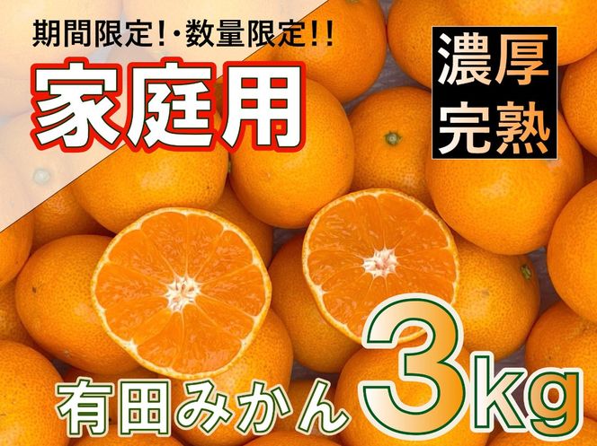 有田みかん 家庭用  3kg　濃厚完熟　お試し 味重視 (和歌山県産) BA47
