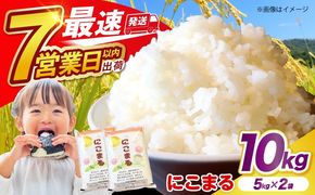 【3年連続特A獲得】長崎県産 精米 にこまる 5kg×2袋 総計10kg / 米 お米 こめ コメ 精米 / 南島原市 / 大松屋商店[SDR013]