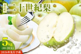 【2026年産 先行予約】【梨 二十世紀梨 約5kg 10～20玉 1玉250～500g】【令和8年8月下旬以降発送予定】 梨 20世紀梨 香住梨 シャキシャキ 甘味 瑞々しさ 香住梨 フルーツ 果物 贈答品 ギフト なし ナシ 和梨 青梨 大人気 おすすめ ランキング 兵庫県 香美町 香住 JAたじま 12-25