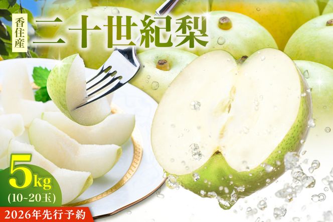 【2026年産 先行予約】【梨 二十世紀梨 約5kg 10～20玉 1玉250～500g】【令和8年8月下旬以降発送予定】 梨 20世紀梨 香住梨 シャキシャキ 甘味 瑞々しさ 香住梨 フルーツ 果物 贈答品 ギフト なし ナシ 和梨 青梨 大人気 おすすめ ランキング 兵庫県 香美町 香住 JAたじま 12-25