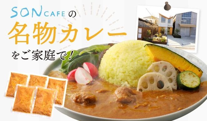 010B1728 【スピード発送】15種スパイスを使用したSONカフェ特製カレー 200g×3P&玉ねぎのアチャール×1P  いずみピクルス NSW 