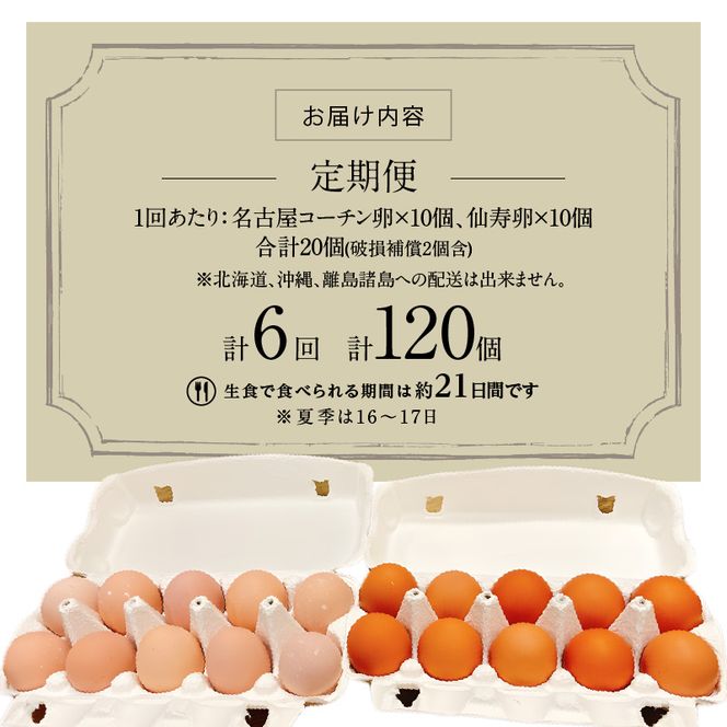 【6ヶ月定期便】名古屋コーチン卵・仙寿卵お試しセット（各10個入り）×6回（計各60個） [006K04-T]