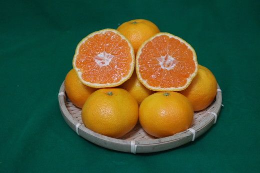 【先行予約】 有田みかん 秀品 約3kg サイズ混合　和歌山県産