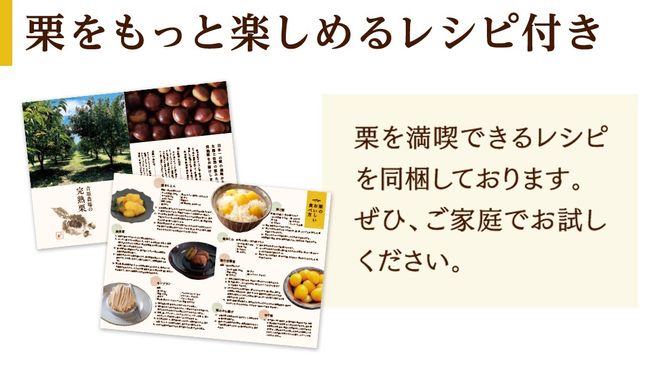 【 吉原農場 の 完熟栗 】 熟成 生むき栗 3袋 ( 120g × 3袋 ) 完熟 栗 くり クリ 栗ごはん 贈答 ギフト 果物 フルーツ 数量限定 旬 秋 冬 正月 おせち [CX019ci]