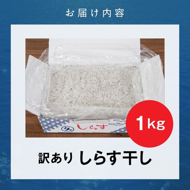訳あり こモリ1kg！バラエティ豊富な三河しらす～海の仲間たち～ 魚介類 しらす シラス 国産 海の幸 ご飯のお供 おつまみ しらす丼 グルメやみつき 冷凍　H018-046