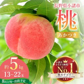 【オンライン決済限定】【2026年8月上旬～発送予定】桃 先行予約 浅間水蜜桃 あかつき 約5kg 秀品 13～22玉 贈答品 フルーツ 果物 白桃 白鳳 甘い 冷蔵