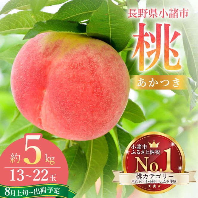 【オンライン決済限定】【2026年8月上旬～発送予定】桃 先行予約 浅間水蜜桃 あかつき 約5kg 秀品 13～22玉 贈答品 フルーツ 果物 白桃 白鳳 甘い 冷蔵