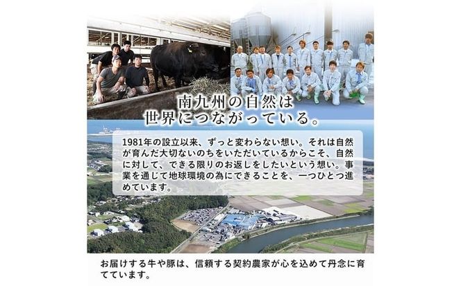 【工場直送 業務用】九州産豚バラスライス＜計8kg(400g×20P)＞ c5-038