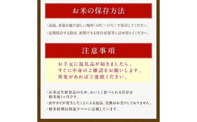 直売所直送「令和7年産　京丹後市産　コシヒカリ」　精米10kg こめ ふるさと納税 コシヒカリ 精米 米 精米 白米 2025 年 京都産　JA00097