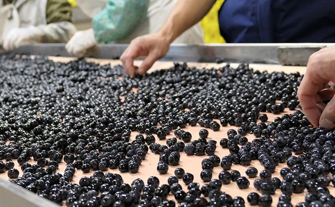 ソラリス ラ・クロワ 赤ワイン お酒 ぶどう酒 晩酌 おうちディナー 飲み物 家飲み 宅飲み スパイス 果実味 タンニン 旨味  