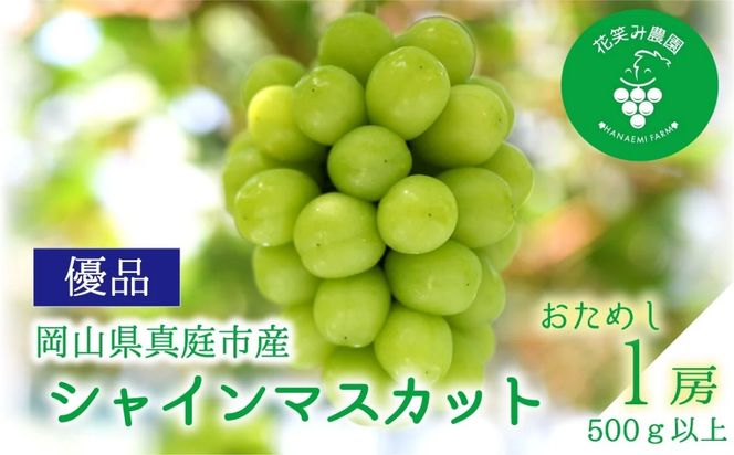 【2026年先行予約】岡山 花笑み農園の『シャインマスカット』500ｇ以上（中１房）S-中1 / ぶどう 葡萄 岡山 シャイン シャインマスカット フルーツ 果物 真庭市 【hana081-01】