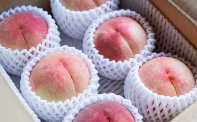 【2026年発送先行予約】　長野県小諸市産桃　約2kg（6～9玉） ギフト用　【Family farm 柏の葉】