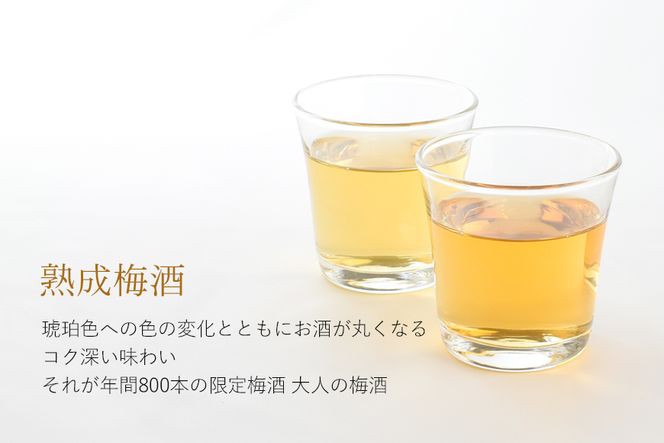 3年熟成 幻の梅酒 熊野伝説720ml 【白】【prm024A】