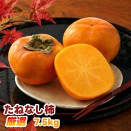 たねなし柿 7.5kg 厳選 / 柿 刀根早生 平核無柿 富有柿 ※2026年9月下旬から11月上旬に順次発送 ※北海道・沖縄・離島への配送不可  【ikd504-p-7d5】