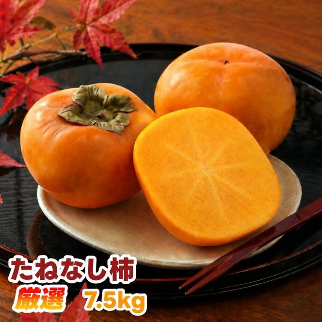たねなし柿 7.5kg 厳選 / 柿 刀根早生 平核無柿 富有柿 ※2026年9月下旬から11月上旬に順次発送 ※北海道・沖縄・離島への配送不可  【ikd504-p-7d5】