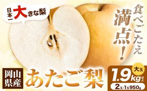 岡山県産 あたご梨 1.9kg以上 大玉2個入り（1玉950g以上）令和7年産先行受付《11月下旬‐12月上旬頃出荷》---H-36a---