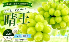 ぶどう 2026年 先行予約 定期便 シャインマスカット 晴王 2房 約1.2kg 7月・８月 2回発送 岡山県産 種無し 皮ごと食べる みずみずしい 甘い 温室栽培 瀬戸内 晴れの国 おかやま 果物大国 満天フルーツ