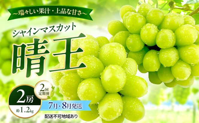 ぶどう 2026年 先行予約 定期便 シャインマスカット 晴王 2房 約1.2kg 7月・８月 2回発送 岡山県産 種無し 皮ごと食べる みずみずしい 甘い 温室栽培 瀬戸内 晴れの国 おかやま 果物大国 満天フルーツ