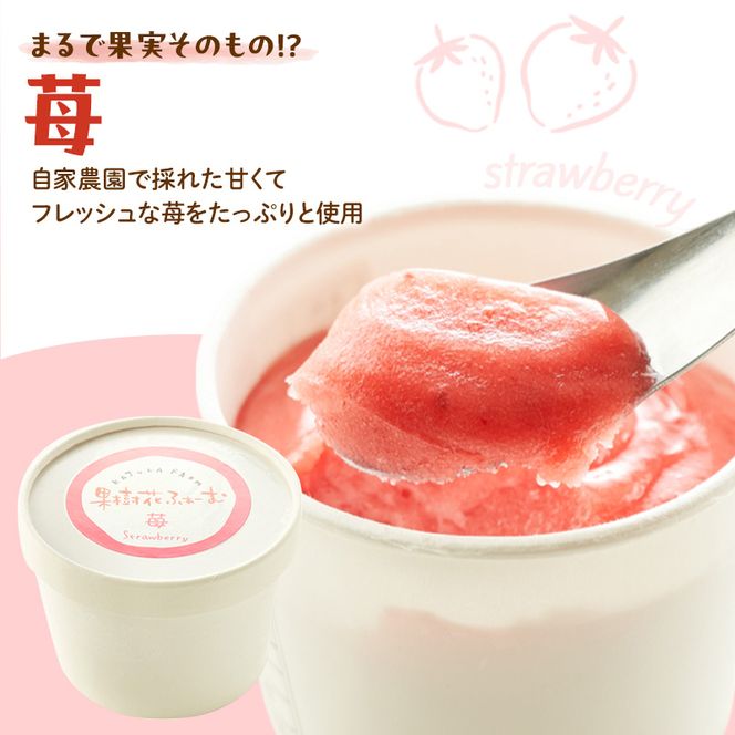 ジェラート いちご 12個 アイス アイスクリーム スイーツ お菓子 菓子 おやつ ストロベリー イチゴ 苺 兵庫県 加西市