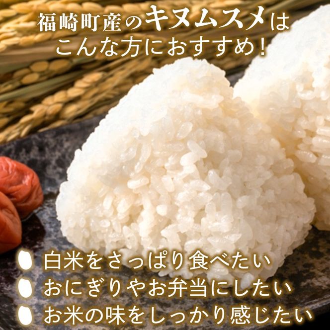 白米 10kg 令和8年産 兵庫県産キヌムスメ 【食味スコア80】 冷めても美味しい おにぎりにおすすめ お弁当におすすめ
