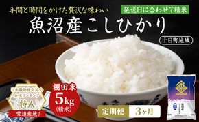 【3ヶ月定期便】魚沼産こしひかり 棚田米(十日町地域) 精米 5kg  米 お米 コシヒカリ 定期 十日町市