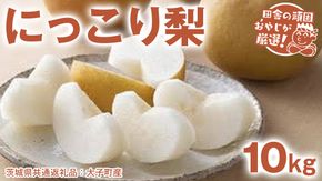 にっこり梨 約 10kg 【2026年10月より発送開始】（茨城県共通返礼品 [梨]：大子町産）田舎の頑固おやじが厳選！ 梨 なし ナシ 果物 フルーツ 茨城県産 [BI431-NT]
