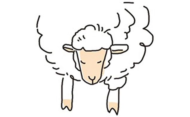 【3ヶ月連続お届け】ぺこ・ジェラ～北海道赤平産羊乳アイスクリーム～100ml×6個 お菓子 