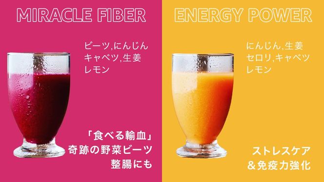 【1日ファスティングに最適】1day fasting コールドプレスジュース 6本セット 200ml×6種 酵素たっぷり 新鮮 野菜 果物使用
