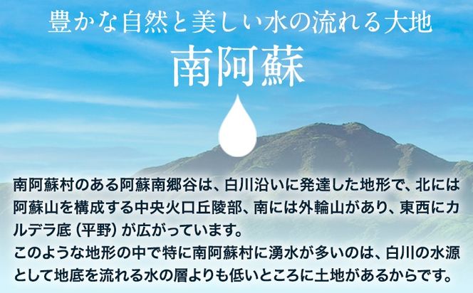 白川水源 ミネラルウォーター タンク式 選べる 10L×1ケース 10L×2ケース 20L×1ケース 定期便 もあり 3ヶ月 6ヶ月 12ヶ月（計6回）《出荷時期をお選びください》熊本県 南阿蘇村 物産館自然庵 水 ミネラルウォーター 飲料水 飲み水 南阿蘇---sms_sznmw_30d_r7_6500_1p---