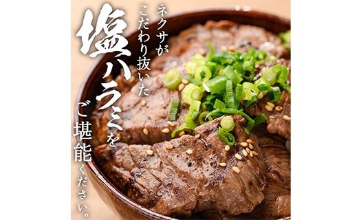 ＜定期便・全6回 (2か月ごとの発送)＞プライム牛 塩ハラミ(総量2.4kg) 定期便 小分け 牛肉 肉 ハラミ 牛はらみ 味付け 焼肉 塩 BBQ 冷凍 大分県 佐伯市【DH322】【ネクサ】