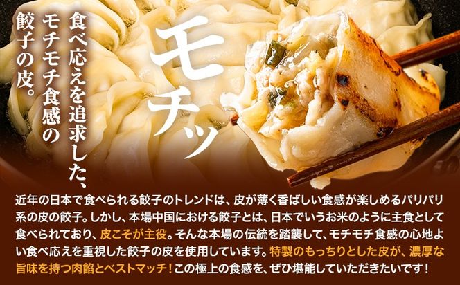 【選べる定期便】餃子 うまかポーク生餃子 30個 60個 90個 150個 タレ付き《お申込み月の翌月から発送開始》 大津町限定返礼品 冷凍餃子 ギョウザ 大津町産豚肉使用 九州産キャベツ使用（大津町産含む）皮モチモチ 肉汁溢れる ぎょうざ（30個×1袋）---oz_fgztei_25_13500_30p_mo3---