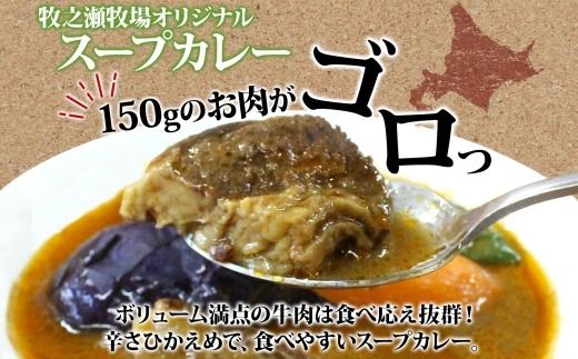 3027.無地熨斗 ビーフ スープカレー 300g 10箱 カレー ビーフカレー スープ 牛 牛肉 放牧牛 牧場 レトルトカレー レトルト食品 レトルト 湯煎 レンジ 牧之瀬牧場 送料無料 北海道 弟子屈町