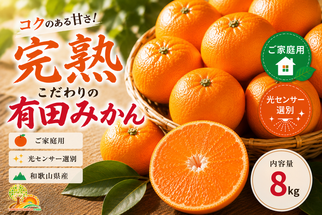 ＼光センサー選別／こだわりの完熟有田みかん 8kg＋150g(傷み補償分) 【ご家庭用】サイズ混合 有機質肥料100%｜ ふるさと納税 ミカン 〇
