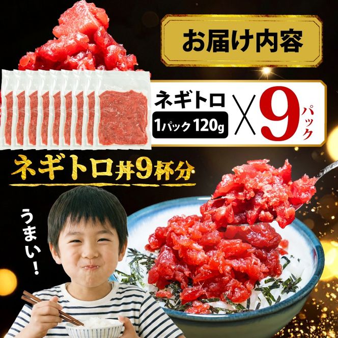 【スピード発送】 天然本鮪100％使用 ネギトロ 約1kg(120g×9) 小分け 冷凍 保存料無添加 着色料無添加 植物油不使用 天然本まぐろ 赤身 中トロ 大トロ 本まぐろ 本鮪 鮪 まぐろ ねぎまぐろ トロ 刺身 さしみ 刺し身 鮮魚 まぐろ赤身 魚介 魚 マグロ 漬け ユッケ 海鮮丼 国産 天然まぐろ 高級 天然 人気 寿司 本鮪 お正月 年末 三陸 大船渡 ギフト ごちそう