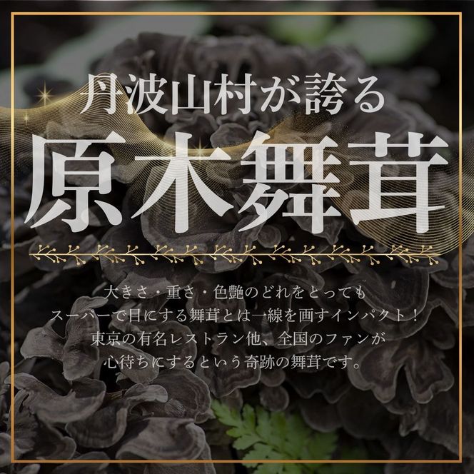 【2026年発送分先行予約】丹波山村産 原木舞茸 約450g 2026年秋頃より順次発送予定 / 丹波山名産 希少 無農薬 無添加 舞茸 まいたけ マイタケ 原木栽培 きのこ キノコ 産地直送【tab0225-0450】