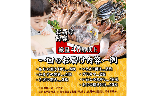 ＜訳あり＞ 干物大満足BOX (40尾以上・5-8種) 訳あり 大満足 BOX セット スピード発送 干物 みりん干し あじ アジ かます カマス ブリ ブリカマ さば いわし たい 鯵 鰤 鯖 鯛 丸干し 開き 魚 海鮮 冷凍 詰め合わせ 簡単調理【AQ68】【やまろ渡邉】