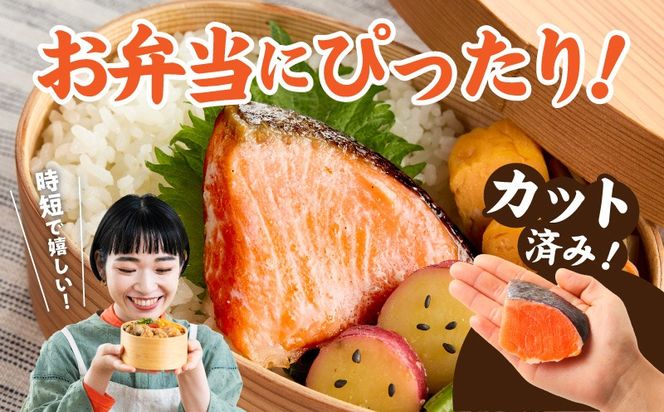 010B1932 鮭の切り身 500g（11～13切れ）【お弁当 訳アリ 不揃い 切身 サケ さけ しゃけ シャケ 魚介 海鮮 魚 さかな】