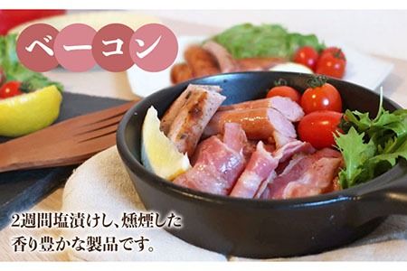 【全12回定期便】糸島の陽光ハムセット4 ウインナー 志摩スモークハウス[AOA019] 詰め合わせ ギフト ソーセージ お歳暮 お中元