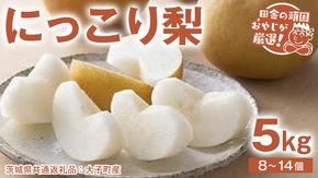 にっこり梨 5kg（8〜14個）【2025年10月より発送開始】（茨城県共通返礼品 [梨]：大子町産）田舎の頑固おやじが厳選！ なし ナシ 果物 フルーツ 茨城県産 [BI430-NT]